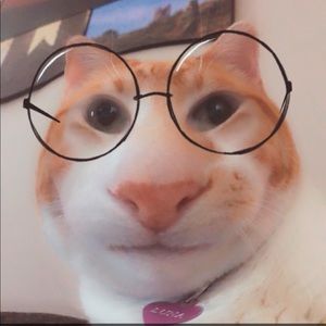 Meet your Posher, Emma